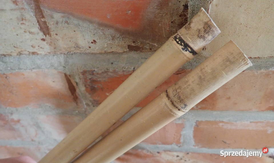 Stelaż podpora do pomidorów bambusowy kijek 180 świętokrzyskie