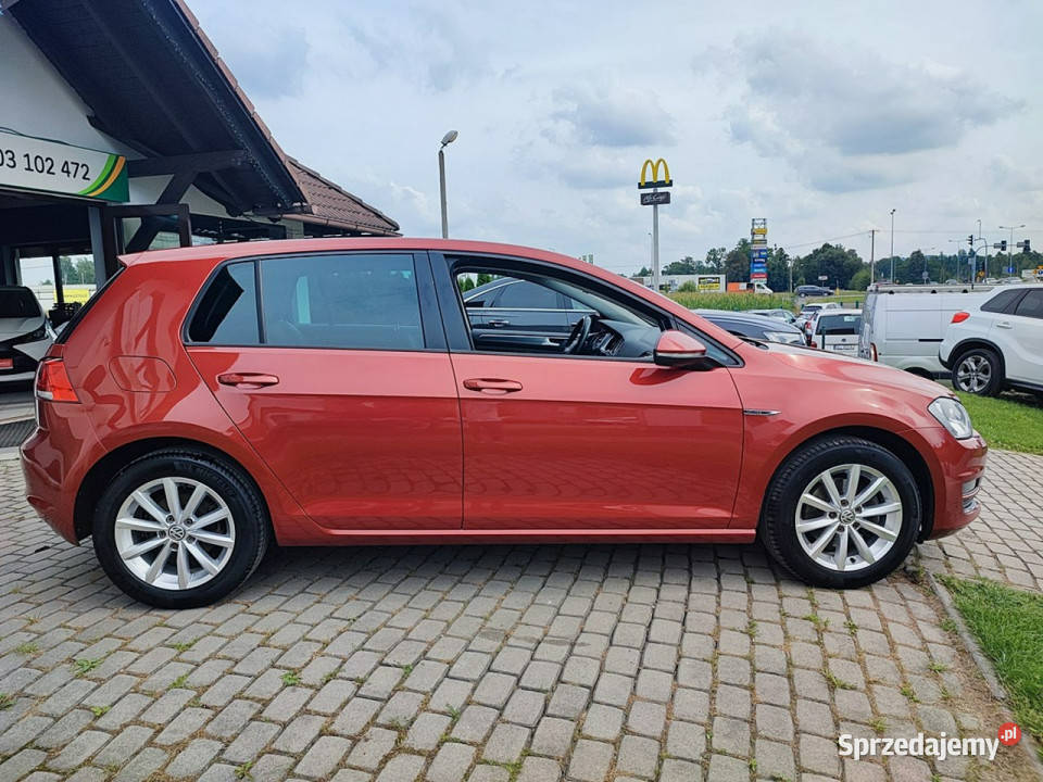 Volkswagen Golf Golf VII 14 TSI Lounge DSG VII światła przeciwmgielne Golf sprzedam