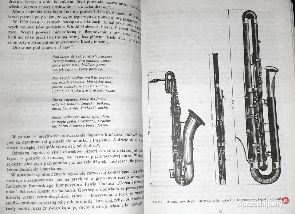 Sekrety Polihymnii Jerzy Waldorff Rok wydania 1989 Chełm