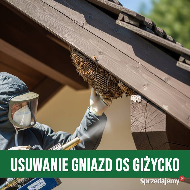 Zwalczanie Os Giżycko Usuwanie gniazd ogród