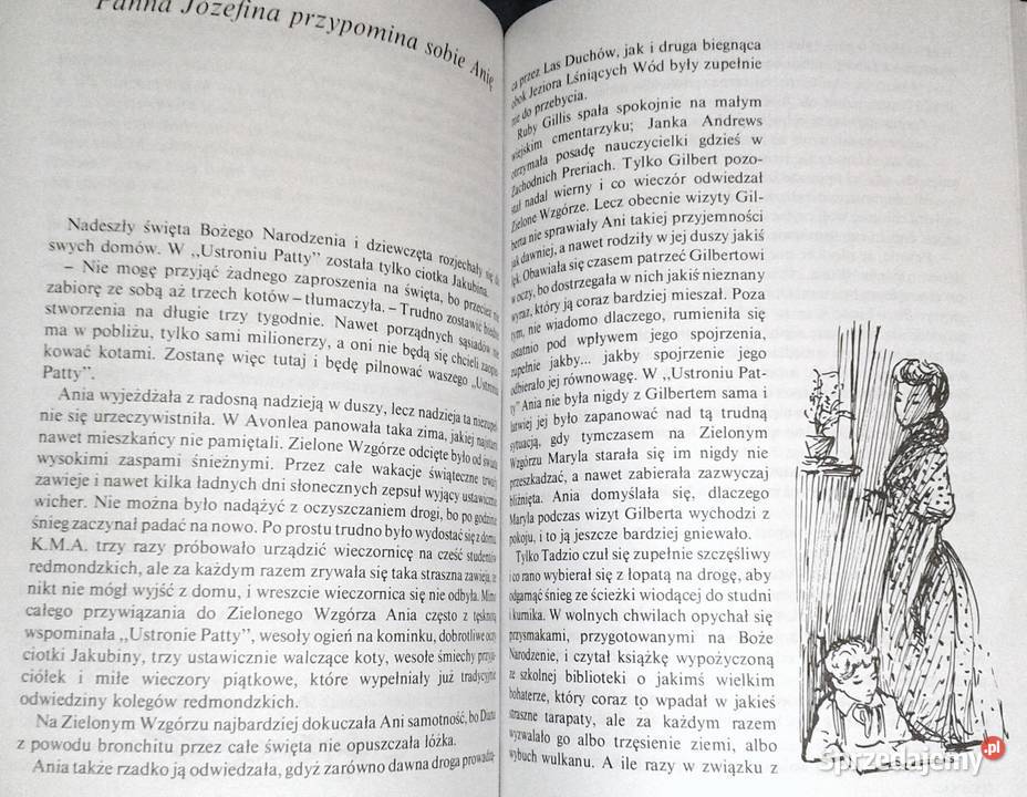 Ania na Uniwersytecie Lucy Maud Montgomery Chełm