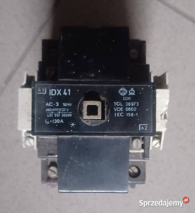 Styczniki pomorskie Rusocin sprzedam