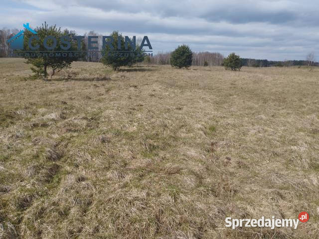Działka Karsin 1222m2