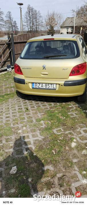 Peugeot 307 Wdziękoń Drugi