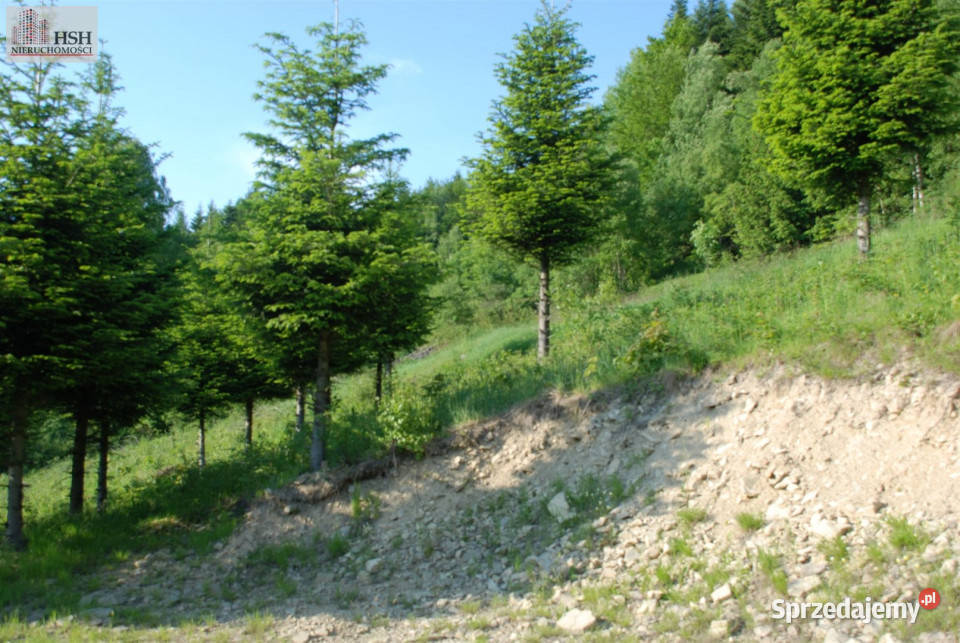 Do sprzedaży działka 14000m2 Żarnówka małopolskie sprzedam