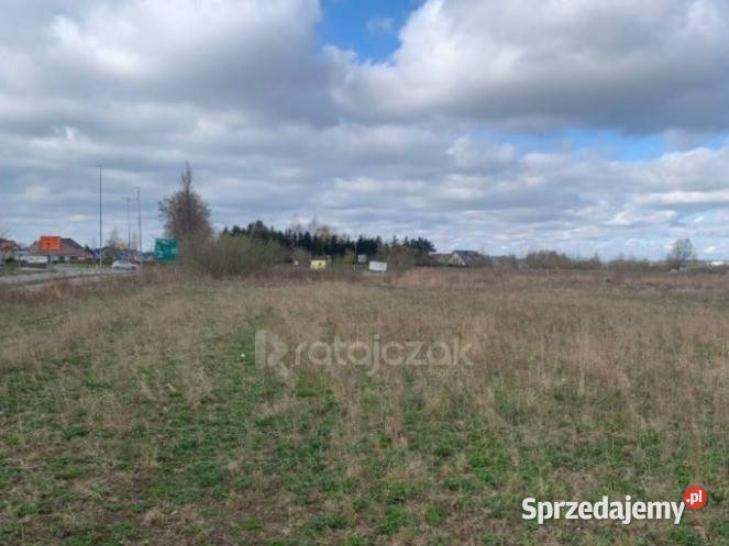 Grunt Pruszcz Gdański Mikołaja Kopernika 3772m2 prąd Sprzedaż