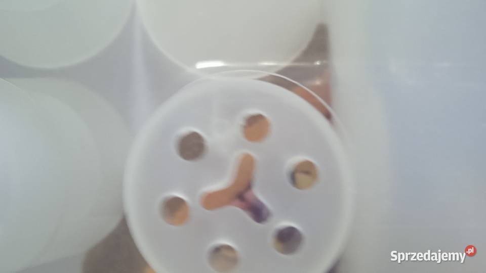 ZESTAW DO DEKOROWANIA TORTÓW KANAPEK wielkopolskie Piła