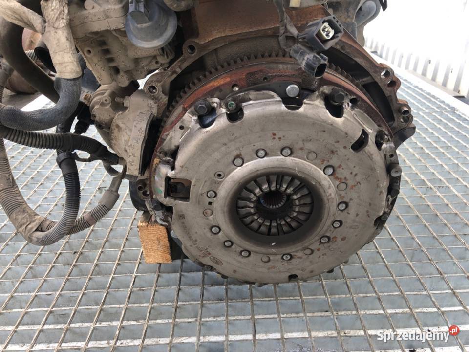 SILNIK KOMPLETNY FORD TRANSIT VI YLF6