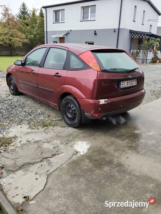 Sprawna Foczka małe pieniążki kupiony w Polsce Łask