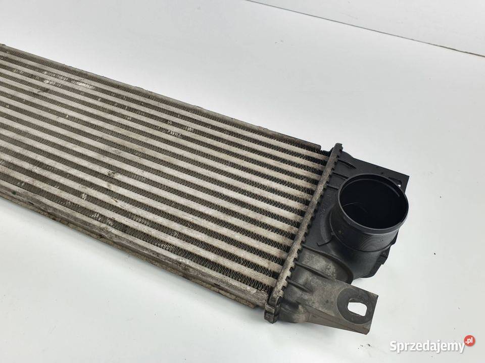 INTERCOOLER OPEL MOVANO II 874806M Części samochodowe kujawsko-pomorskie Lipno sprzedam