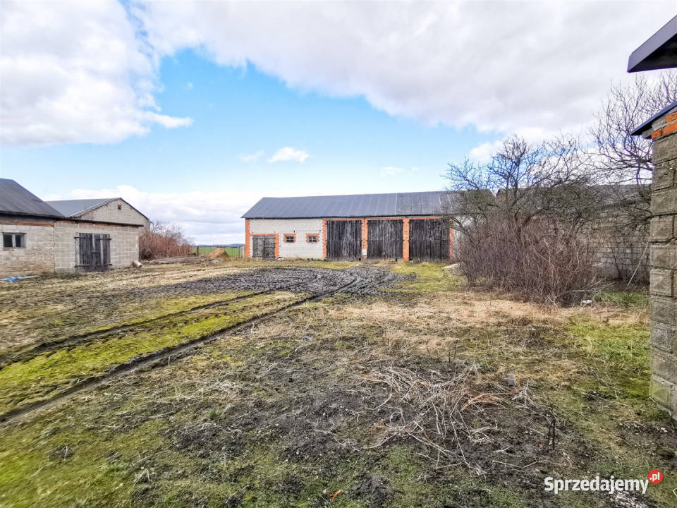 sprzedaży domu Wacławów 80m2 sprzedam