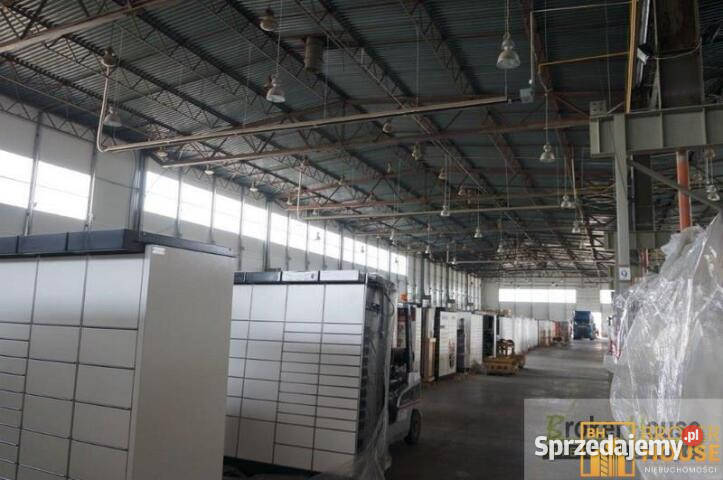 Lokal 5000m2 Opole opolskie