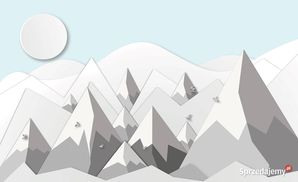 Tapety dzieci rakieta góry balony wielkopolskie Leszno sprzedam