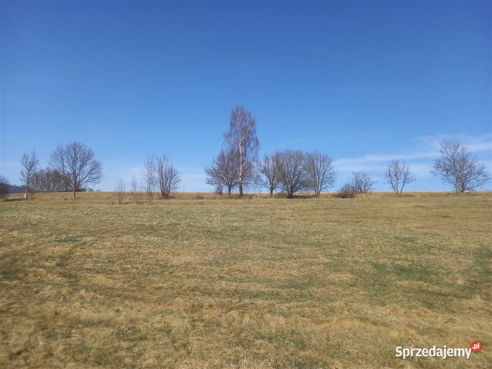 Dobrze skomunikowana działka w Jabłowie Jabłów sprzedam