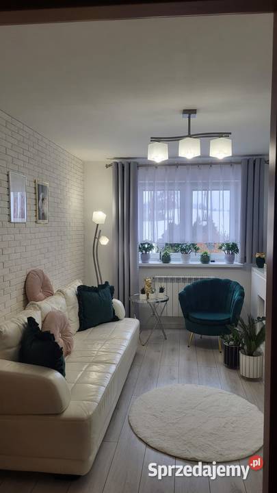 Przestronne dwupokojowe mieszkanie z ogrodem Minięta