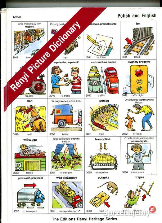 Renyi Picture Dictionary Polish and English Szczecin