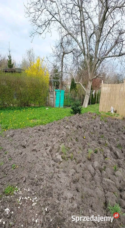 WYKONAM RÓŻNE PRACE FIZYCZNE Inowrocław