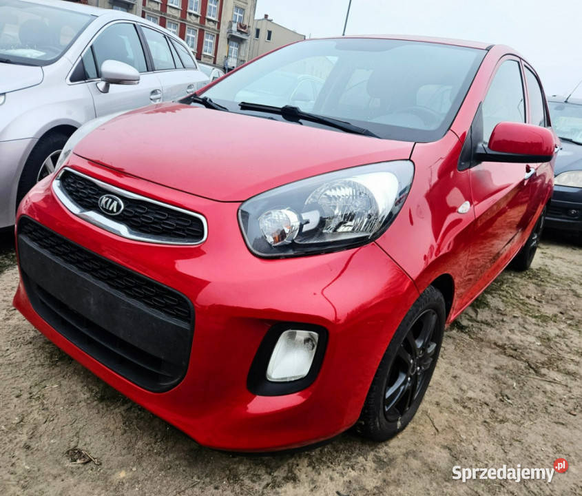 Kia Picanto Zadbany Lift Oryg73 Rata520 II 2011 Śrem