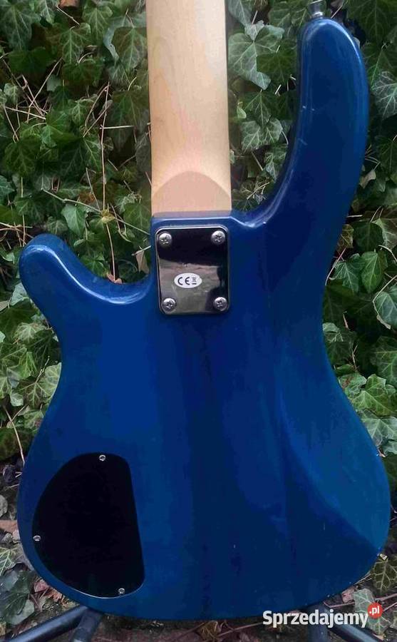 Gitara basowa Vision Tuszyn