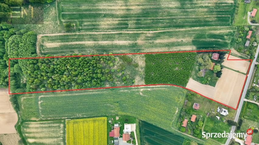 Dom wolnostojący Markuszowa 200m2