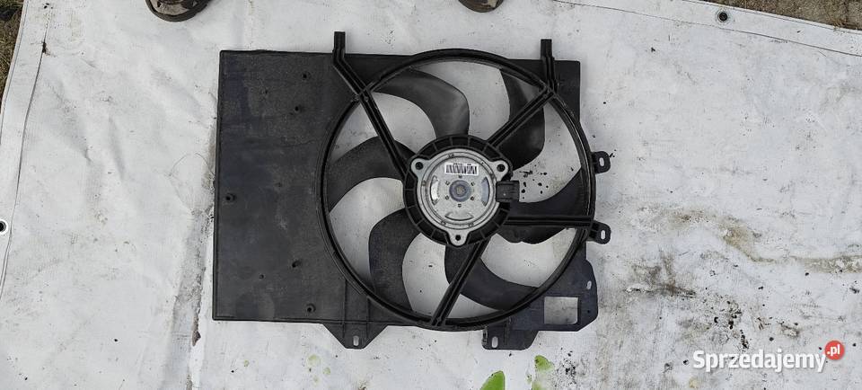 Citron C4 CACTUS osobowe Siechnice