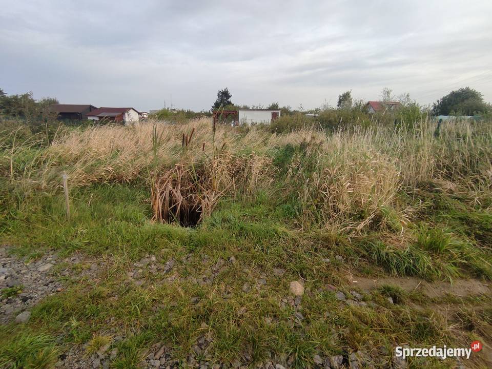 Sprzedam działke ROD Gryf zachodniopomorskie