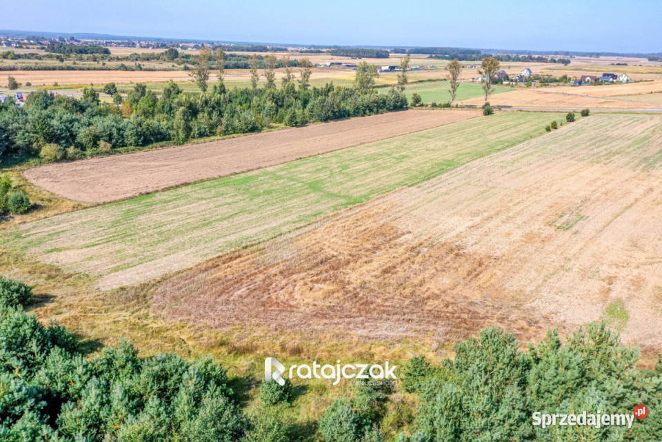 sprzedaży gruntu 9632m2 Łebcz Dr Augusta