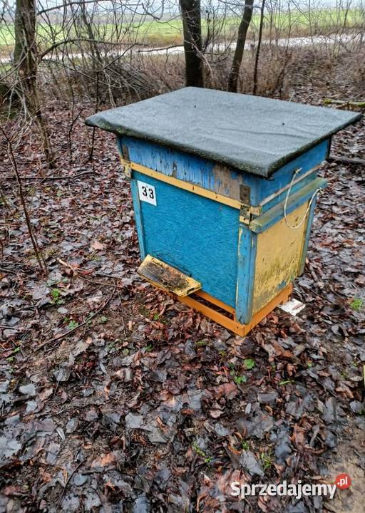 Pszczoły Ule Rodziny pszczele Pasieka Białystok