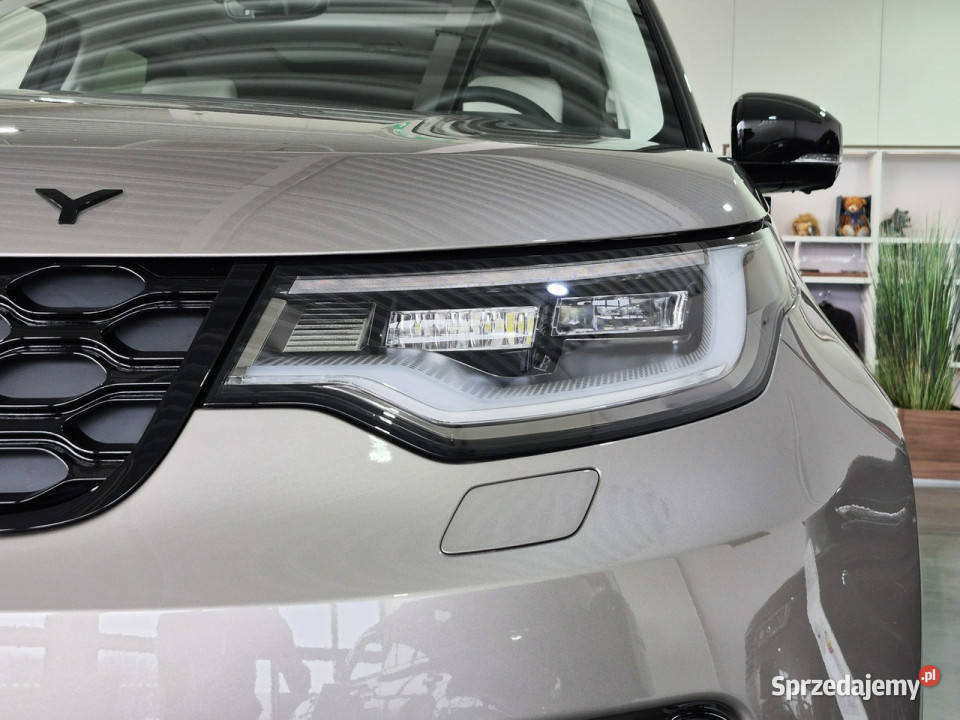 Land Rover Discovery Discovery 30D 249 AWD Łódź sprzedam