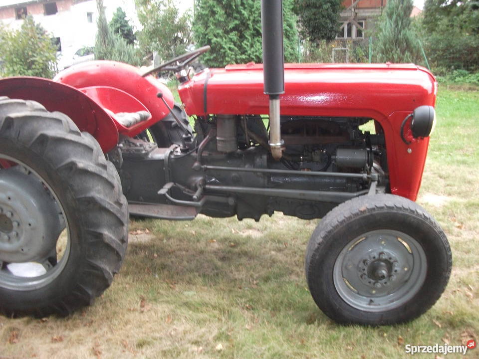 Massey Ferguson 35 nie t25 c 330 3p dokumenty Massey Ferguson Łódź