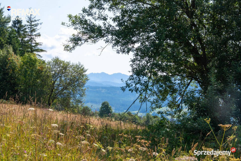 Twój kawałek natury z widokiem na Tatry Sprzedaż Dzianisz