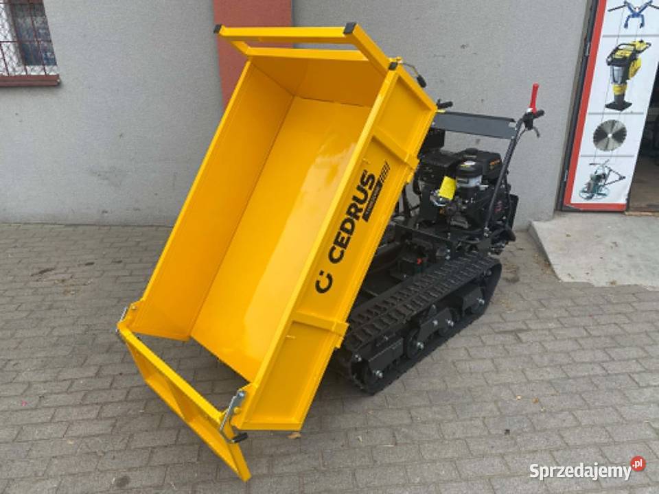 Transporter Cedrus TR800GE 15 800 Wysyp wielkopolskie Konin