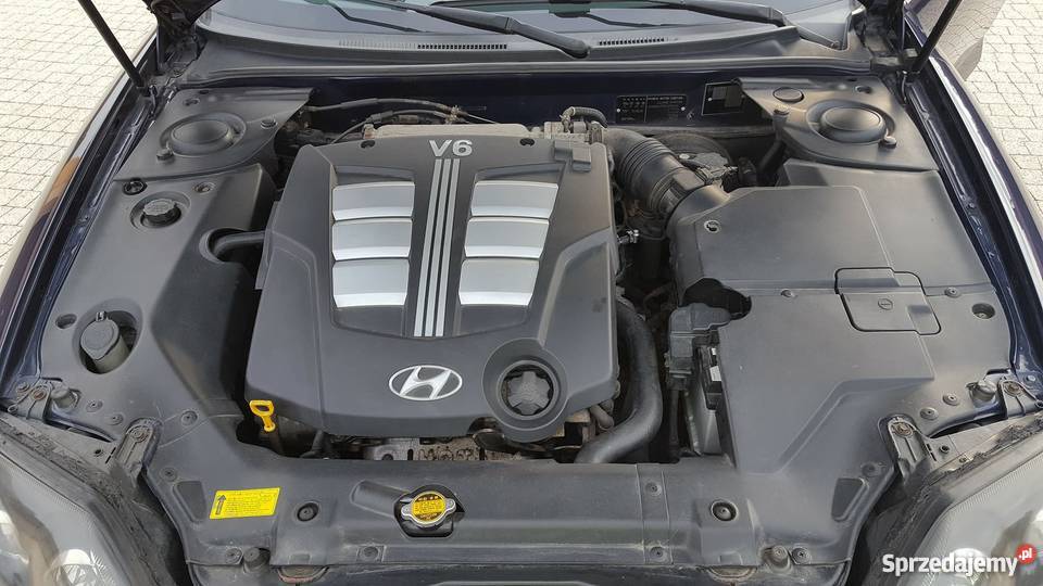 Hyundai Coupe Tiburon 27 V6 nawigacja Rzeszów