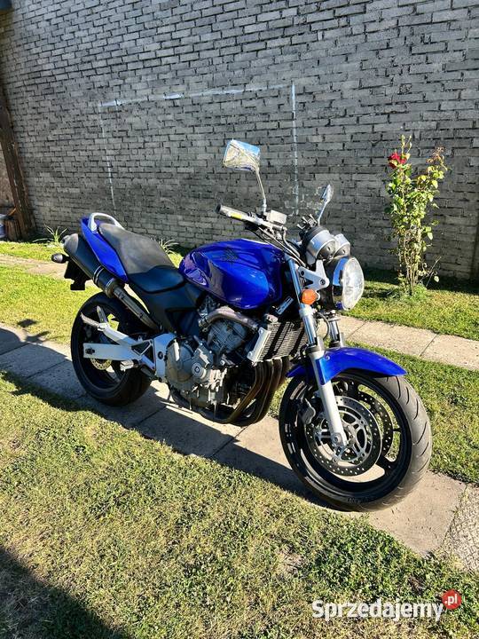 Honda Hornet 600 Suchedniów sprzedam