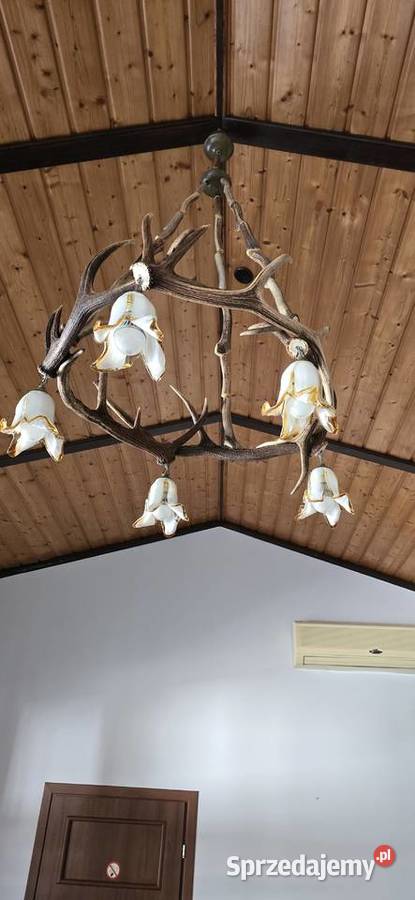 Żyrandole z poroża