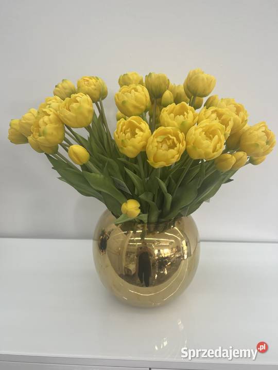 Bukiet tulipanów gumowych 7 sztuk Premium kolor Golkowice