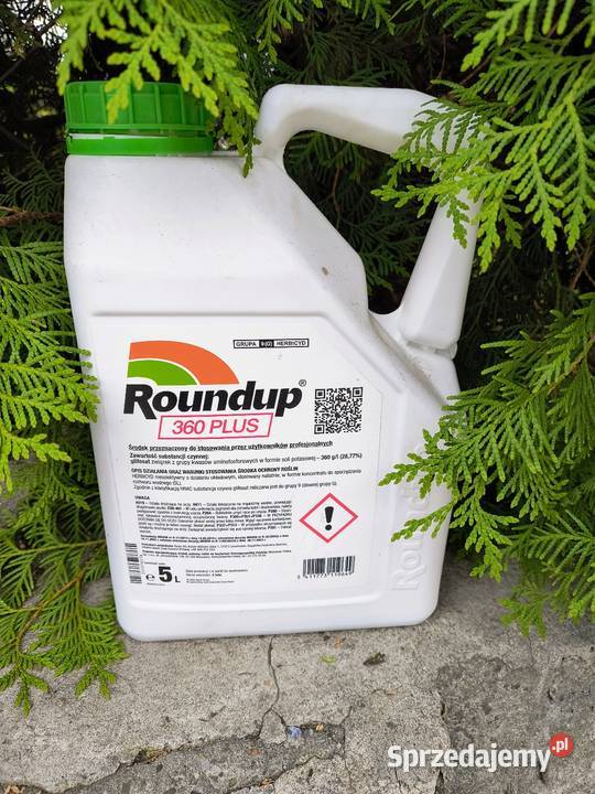 Roundup 360 Plus 5L lubelskie Lublin