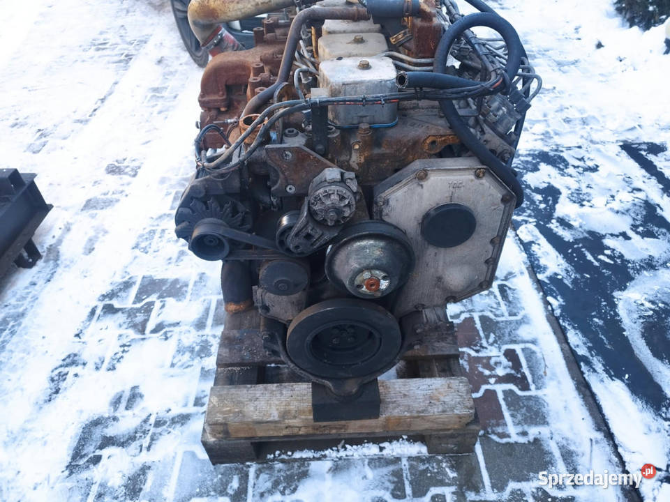 Silnik Cummins 59 L Cummins B59C Strzyżew
