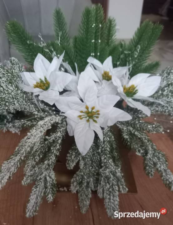 Wiązanki nagrobne Bożonarodzeniowe zachodniopomorskie Koszalin