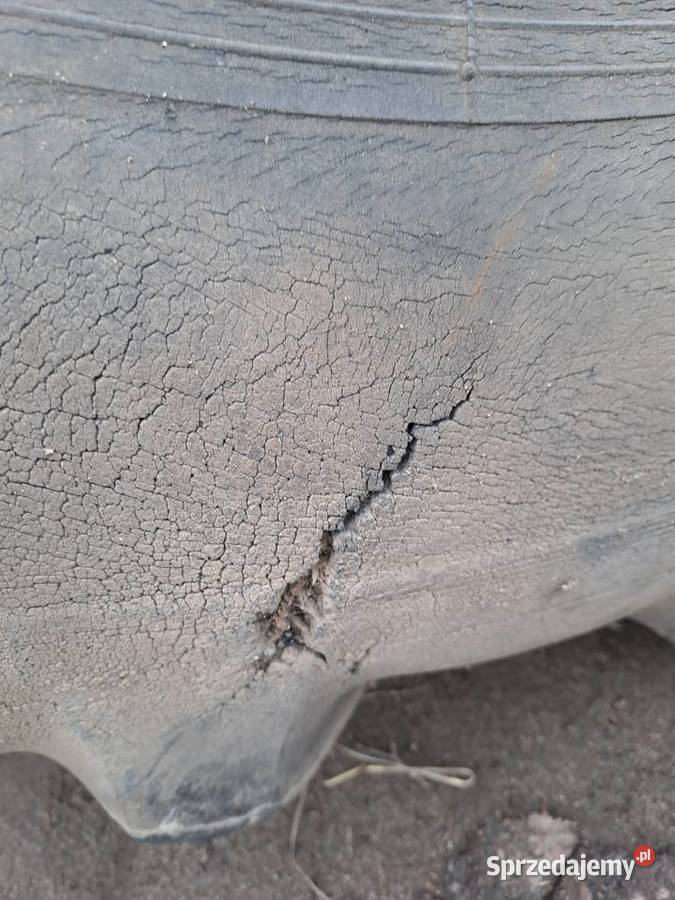 opony 169 34 Wierzbno