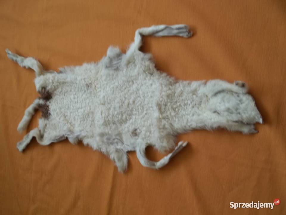 Karakuł jasny wyprawiona skórka Łódź