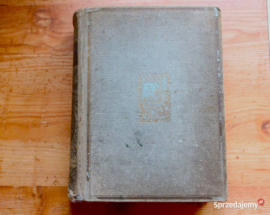 Malarstwo w Polsce XIX do XX wieku Feliks Kopera pomorskie Gdańsk