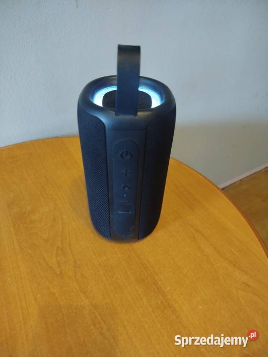 Głośniki FRESHnREBEL Elektronika dolnośląskie Świdnica