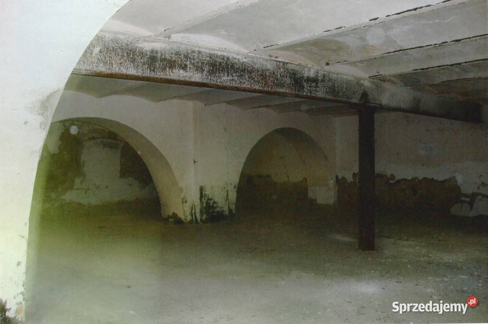 Działka z domem 400m2 we wsi Brzozowa Nieruchomości