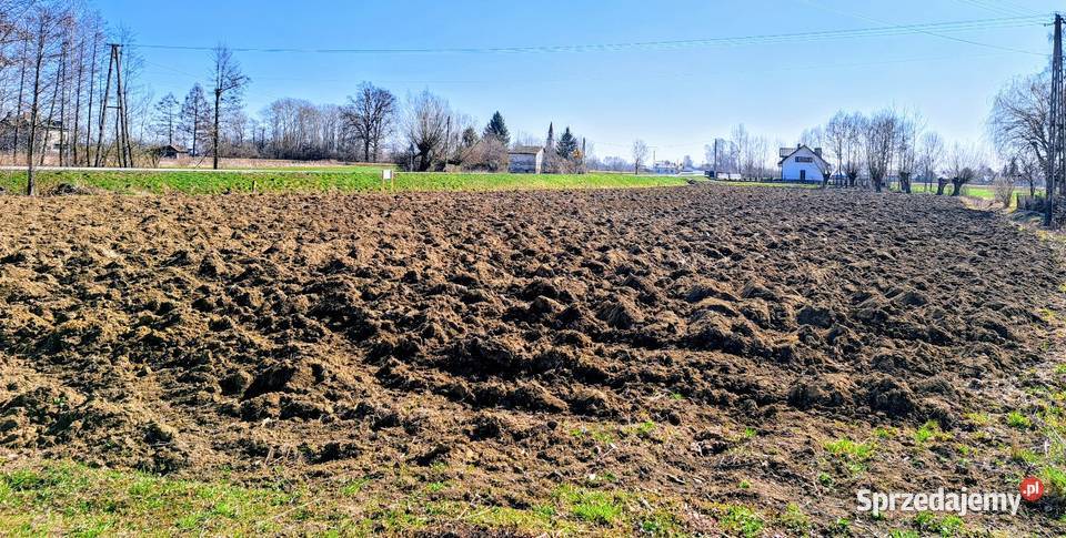 Działka budowlana 56 arów miejscowość Zabrnie małopolskie
