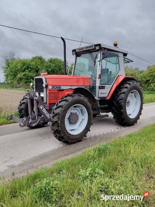 Massey Ferguson 3095 sprzedam