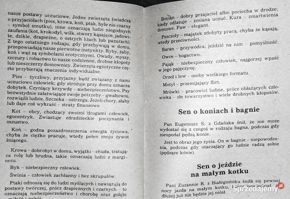 Tajemnice naszych snów Janusz Świerczyński miękka Chełm