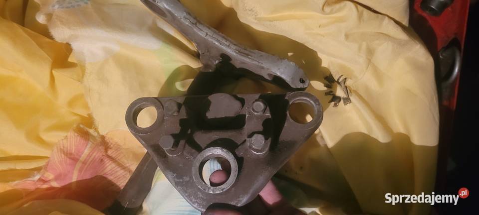 Półki mz ts Czekarzewice Drugie