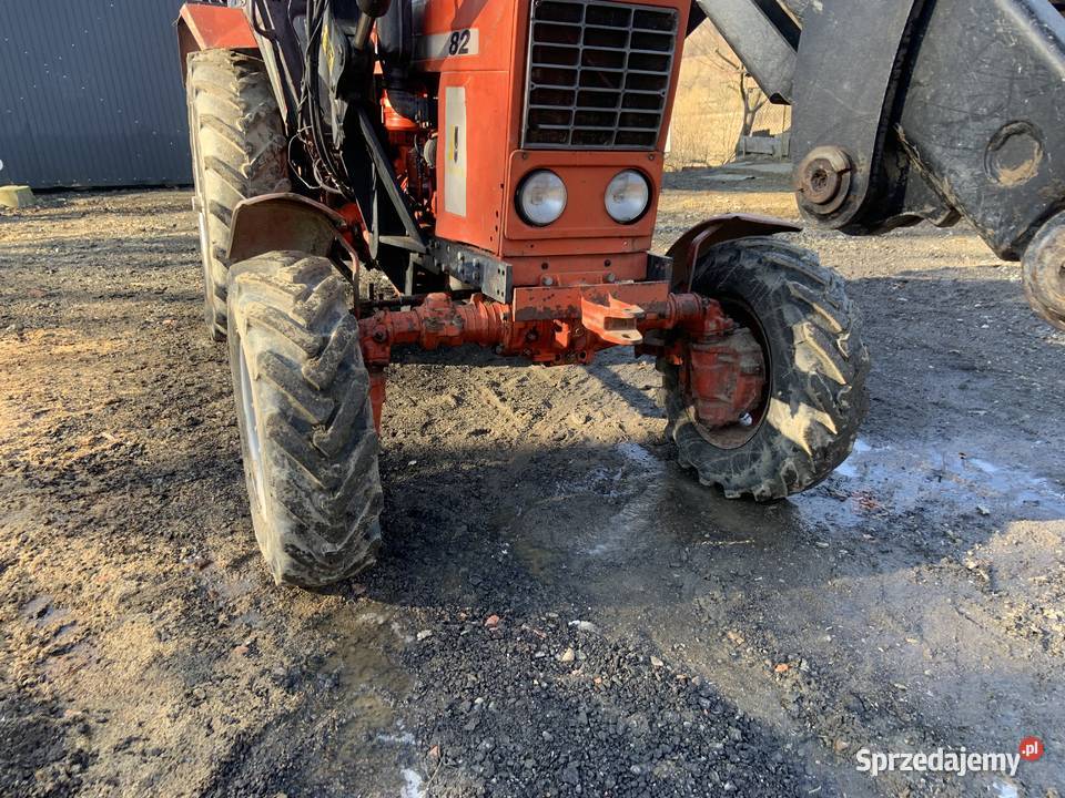 Mtz82 z turem podkarpackie Domaradz