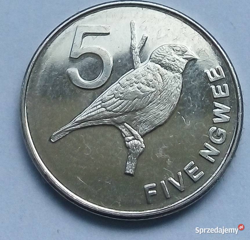 ZAMBIA5 NGWEE2012 r PTAKŁADNA1 Legionowo